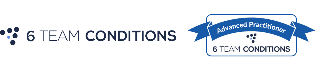 6 Team Conditions accreditation badges
